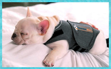 Anxiety Ängste Thundershirt