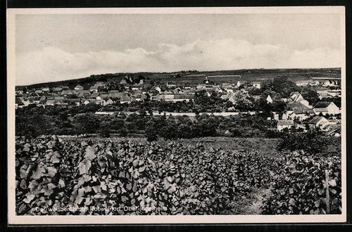 Ober ingelheim weinberge - ober-ingelheim,,