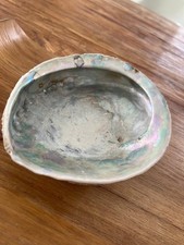 Dekorative Riesenmuschel Schale Perlmutt