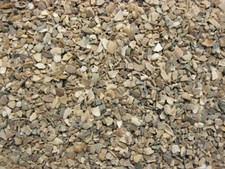 Ostrea Muschelschalenschrot