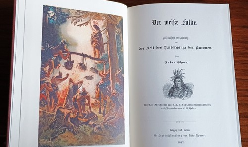 Der weiße falke - der, anton
