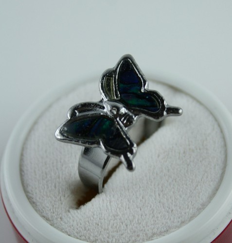 Paua muschel ring - paua,