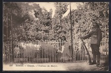 Ansichtskarte Damas, Chouada