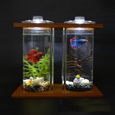 Betta Fish Tank Mini Fish