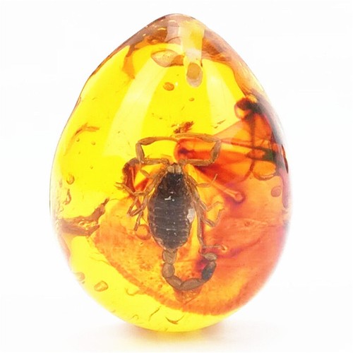 Harz amber schmetterlings - amber,