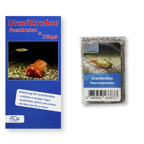 Triops longicaudatus 100 - longicaudatus,
