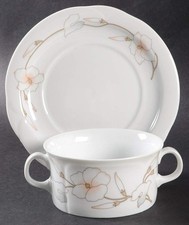 Arzberg Rhodos Cream Soup &