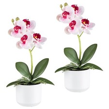2er Set Phalaenopsis ca 27cm