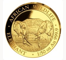 Gold Somalia Elefant 2020 PP