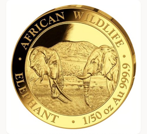 Gold somalia elefant 2020 - gold,