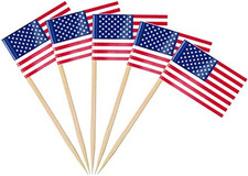 100 Stück Amerika USA