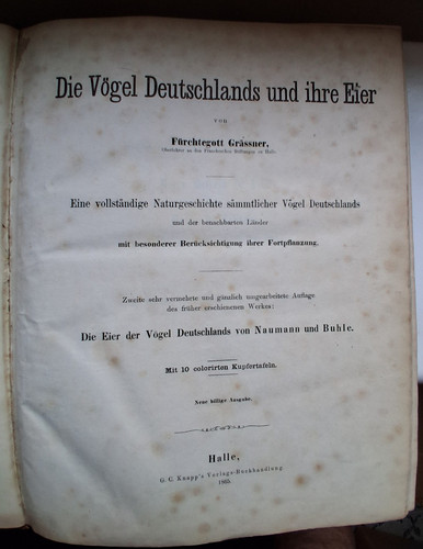 Grässner vögel deutschlands - vögel,