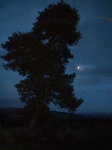 Foto 6x4 west tullyfergus mond - 6x4,