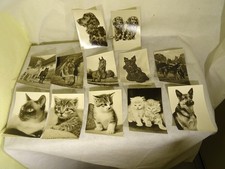 12 Alte Postkarten