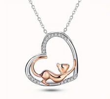 Silberne elegante zweifarbige