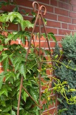 Rankgitter Rost Höhe: 170 cm Metall Rankhilfe Rankgerüst Schmiedeeisen