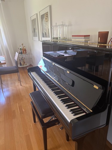 Piano euterpe 121 - piano, bechstein