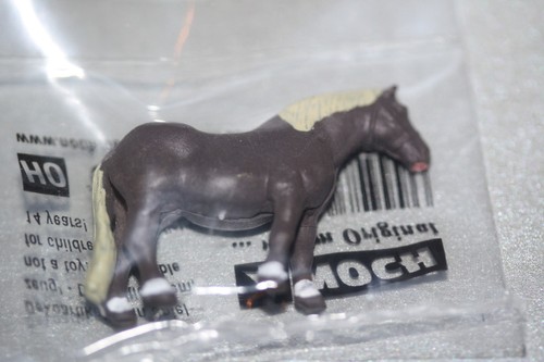 Noch 7599962 pferd - pferd, stehend