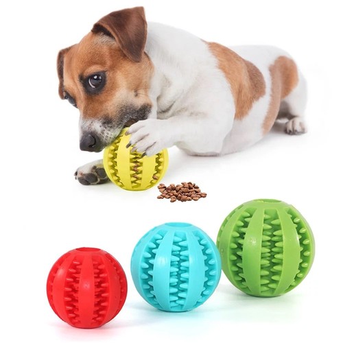 Snackball türkis welpen - snackball, türkis,