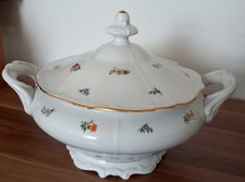 SUPPENTERRINE MIT DECKEL