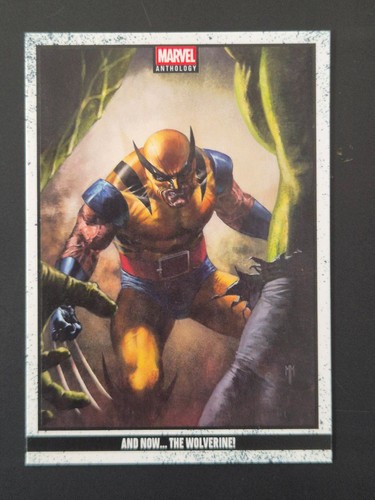 Panini marvel anthology 2025 - marvel,