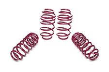 Vogtland Tieferlegungsfedern