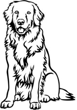 HOVAWART blond Aufkleber -