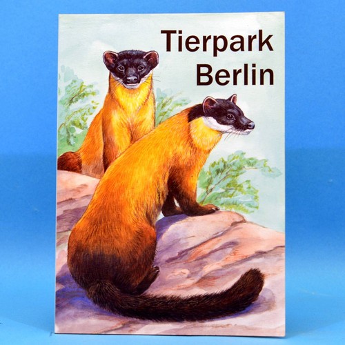 Wegweiser durch den tierpark - den,