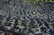 Tarnnetz schwarz Fest Party Garten in allen Größen und Farben