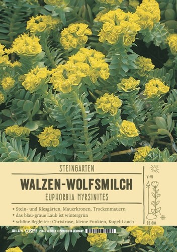 Euphorbia myrsinites