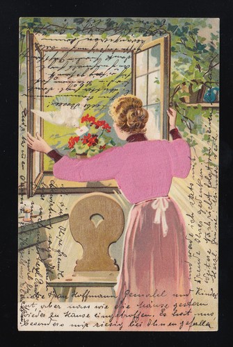 Frau rosa samt - frau,