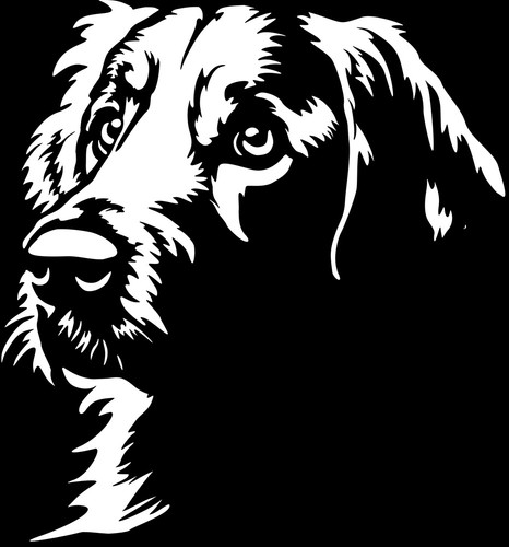 Golden retriever aufkleber - golden,