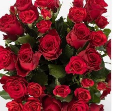 Original BMW Felgen 1er E81