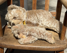 2x Steiff Floppy Zotty