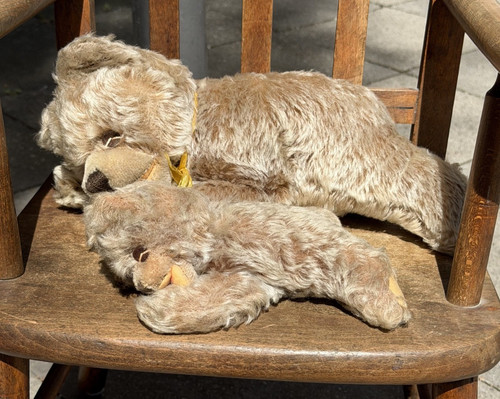 Steiff floppy zotty - steiff,