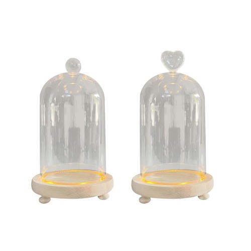 Glas cloche dome - cloche,