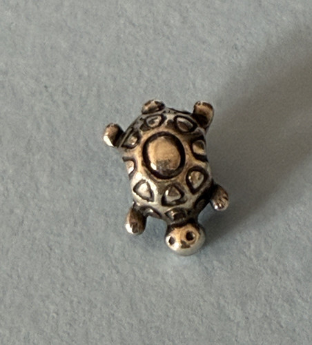 Original pandora schildkröte - pandora,