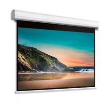 4:3 DELUXX Professional Beamer Motorleinwand 244 x 183 (254x208)cm (35501) 120"