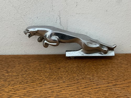 Jaguar leaper springende katze - leaper,