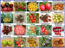 Tomaten Set 1: Tomatensamen