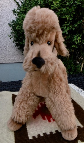 Steiff hund pudel cosy - ,
