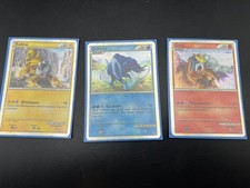 Pokemon bundle raikou - pokemon,
