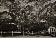 AK Friedrichroda (249)