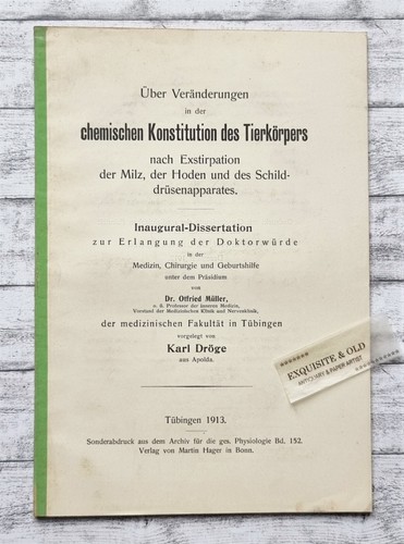 1913 tierkörper hoden milz - 1913,