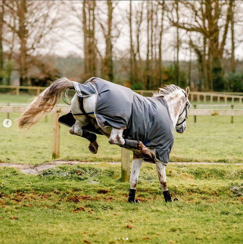 Horseware amigo bravo 12 - horseware,