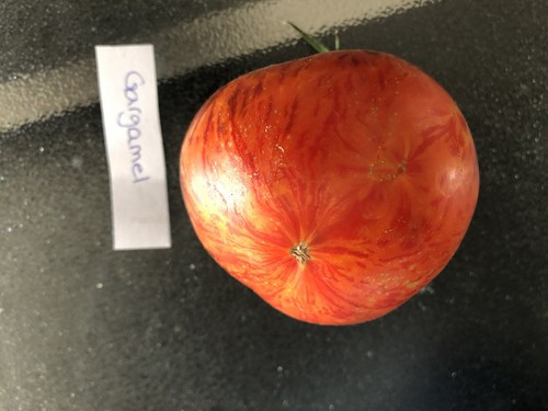 Mix tomatensamen - mix,