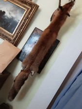 Fuchspelz, Winterfell echt