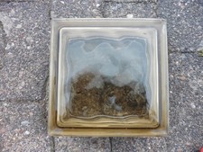 Glasbaustein 19 x 19 x 8 cm Glasbausteine Wolke Bronze   unbenutzt *