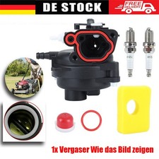 Vergaser für Briggs Stratton