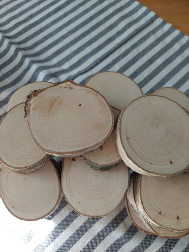 Holzscheiben birke deko - birke,